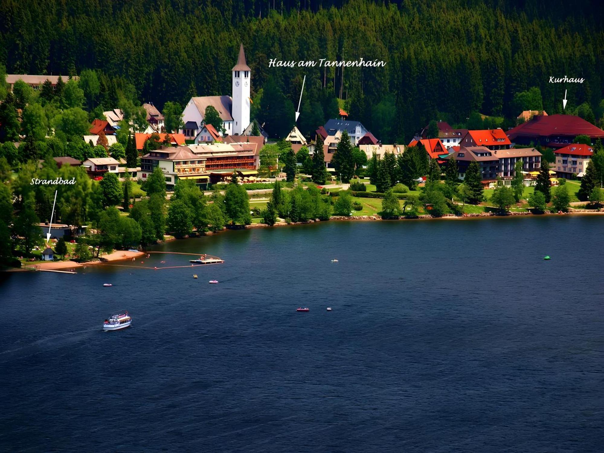 Haus Am Tannenhain Titisee-Neustadt Exterior foto