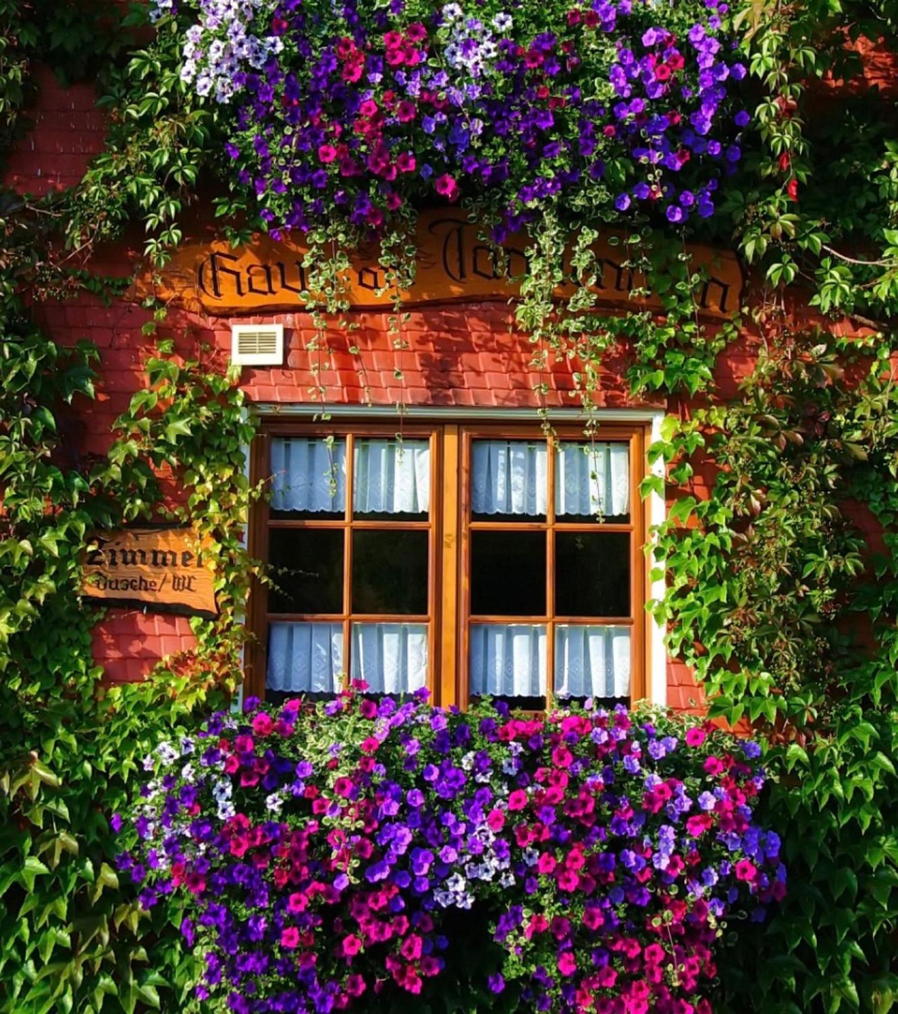 Haus Am Tannenhain Titisee-Neustadt Exterior foto
